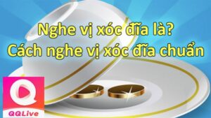 Nghe vị xóc đĩa