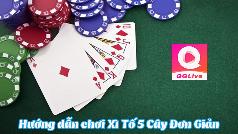 bài xì tố 5 lá QQlive